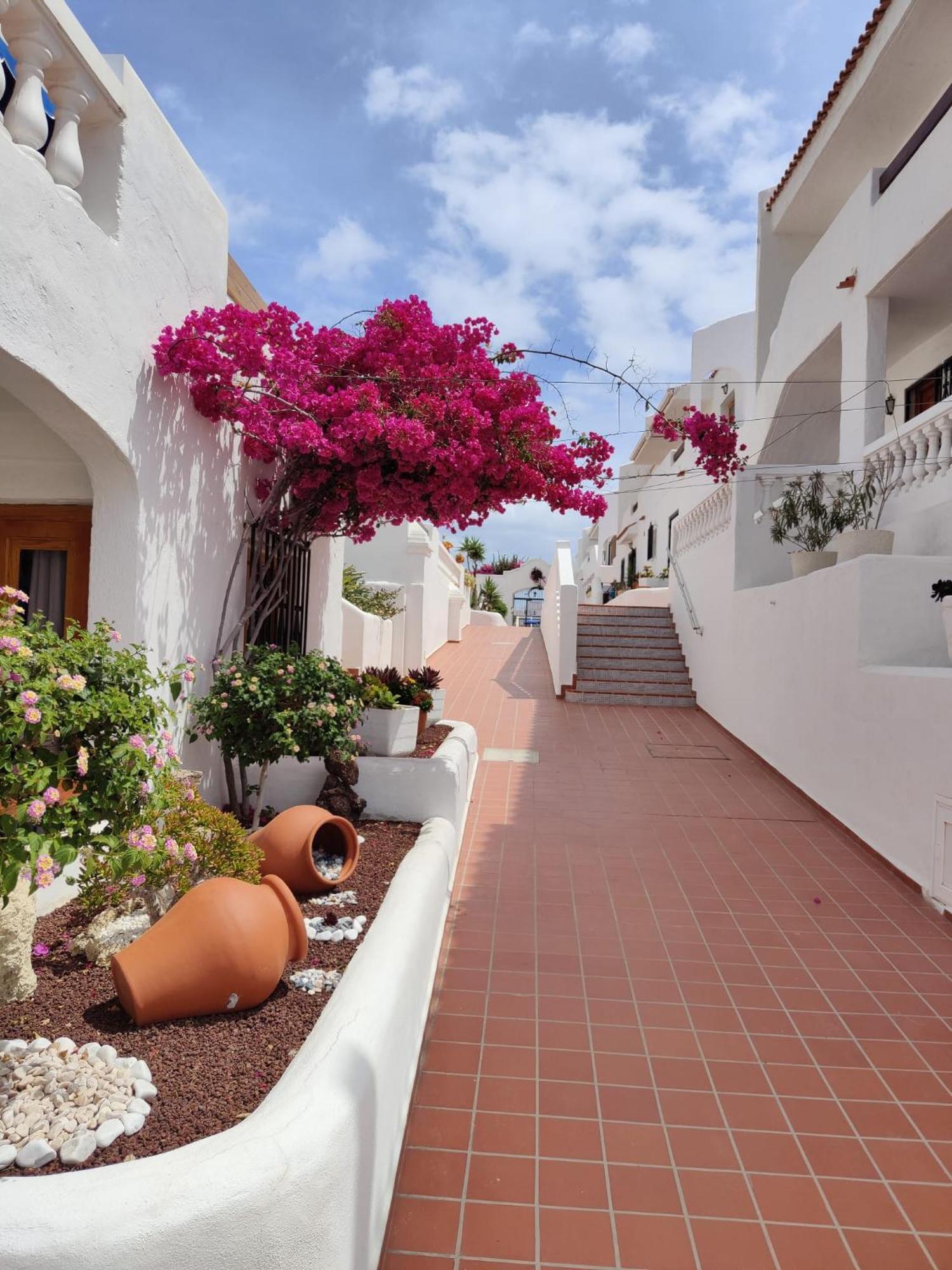 Apartamento Port Royale Los Cristianos  Exterior foto
